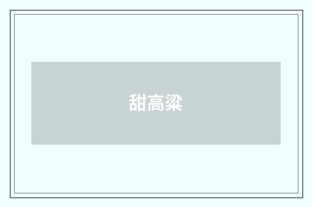 甜高粱