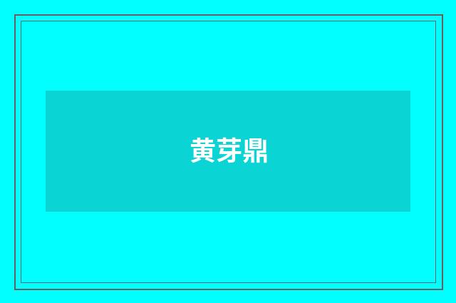 黄芽鼎