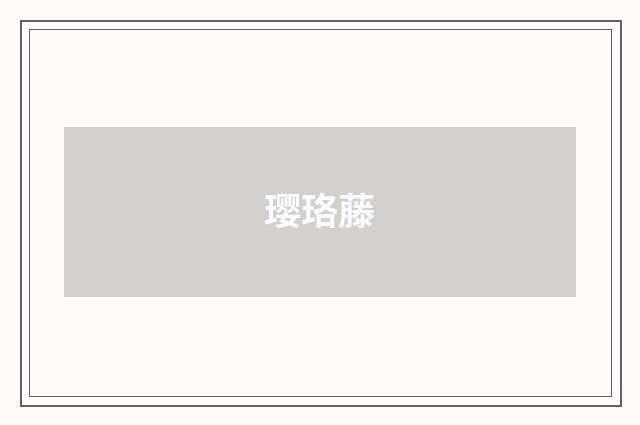 璎珞藤