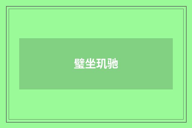 璧坐玑驰