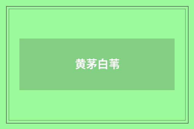 黄茅白苇