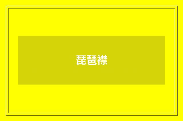 琵琶襟