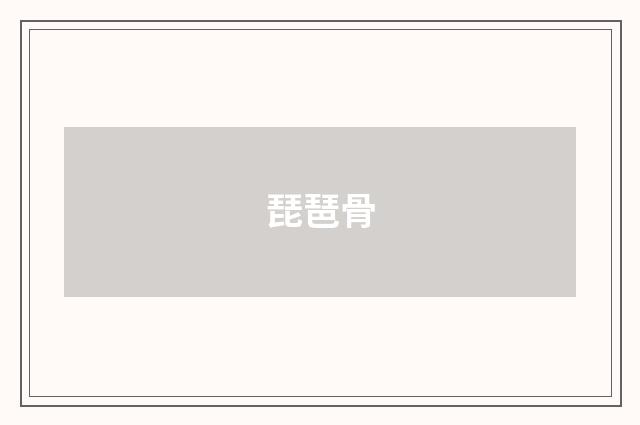 琵琶骨