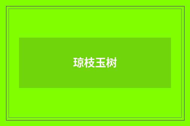 琼枝玉树