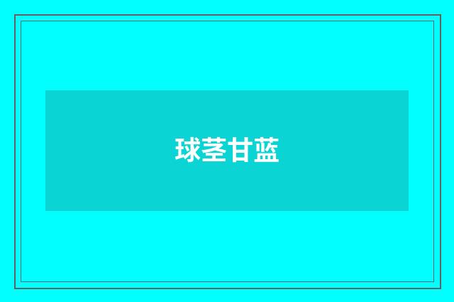 球茎甘蓝