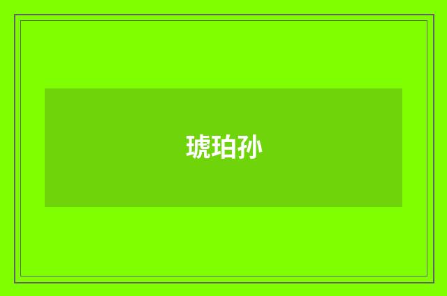 琥珀孙