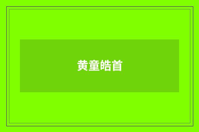黄童皓首