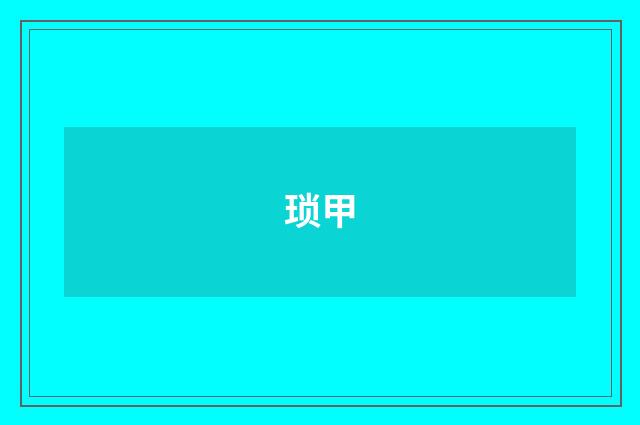 琐甲