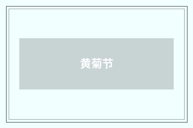 黄菊节