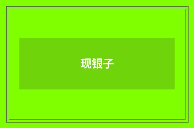 现银子