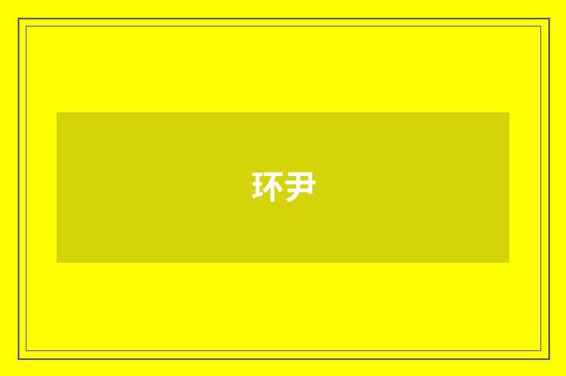 环尹
