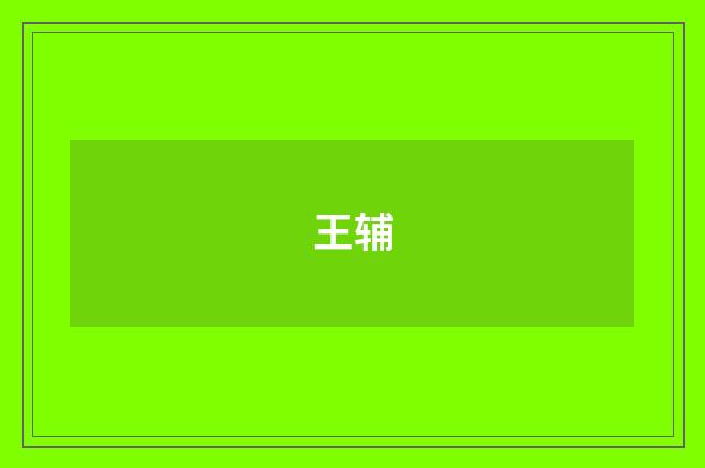 王辅