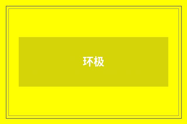 环极