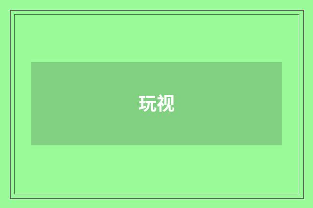 玩视