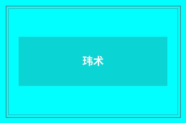 玮术
