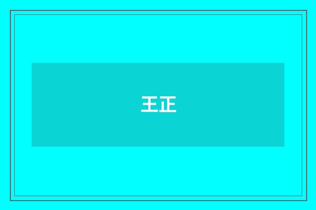 王正