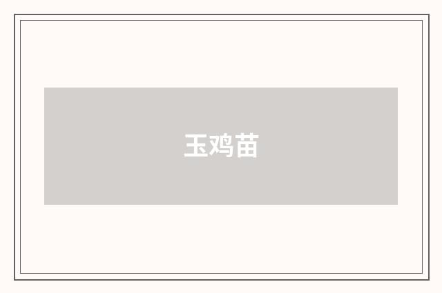玉鸡苗