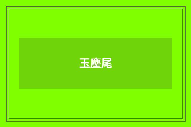 玉麈尾