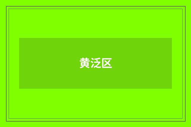 黄泛区