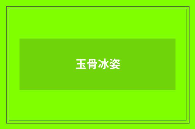 玉骨冰姿