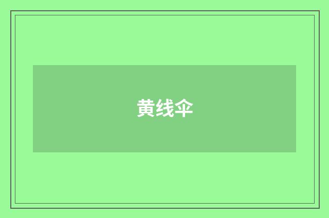 黄线伞