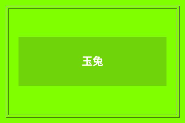 玉兔