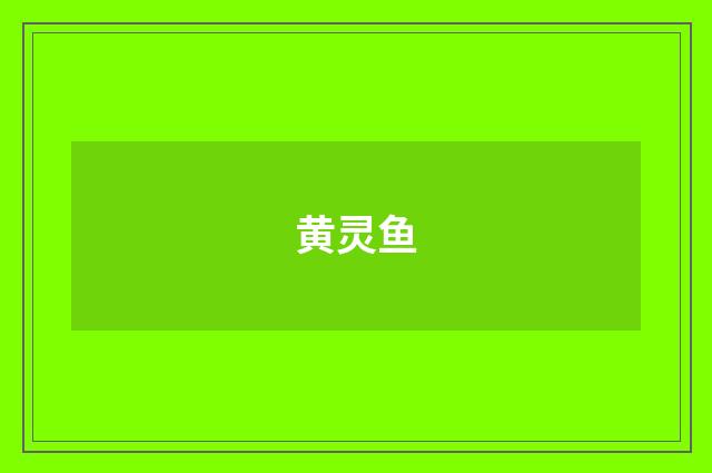 黄灵鱼