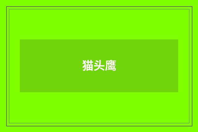 猫头鹰
