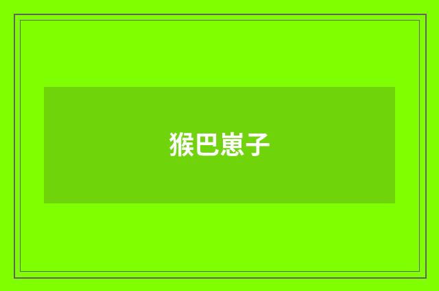 猴巴崽子