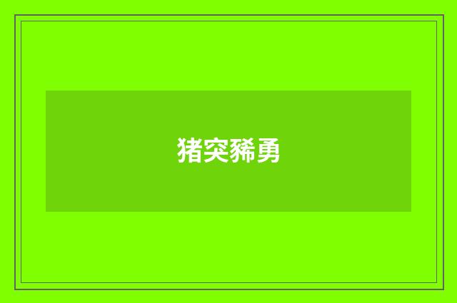 猪突豨勇