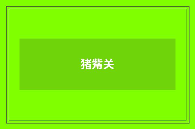 猪觜关