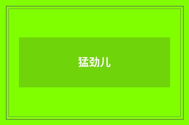 猛劲儿