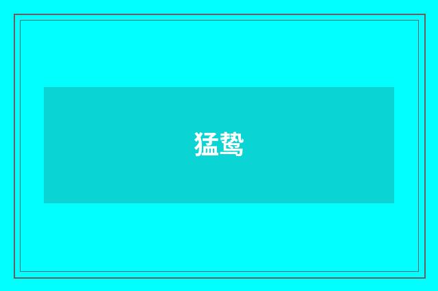 猛鸷