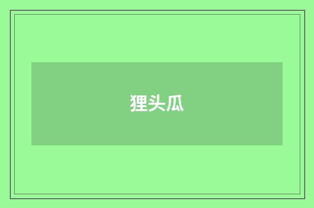 狸头瓜