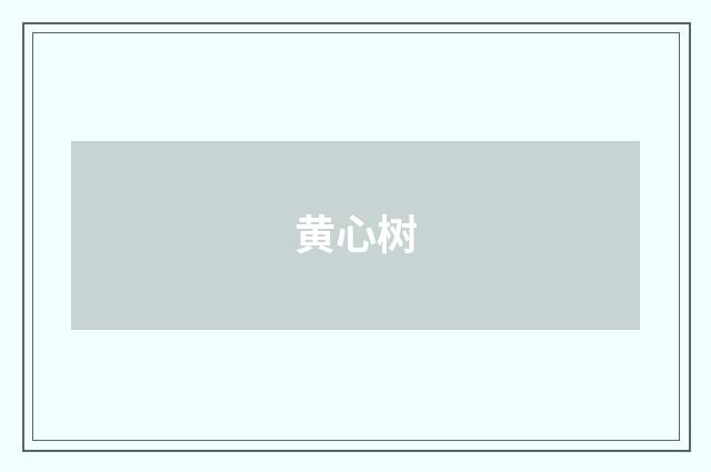 黄心树