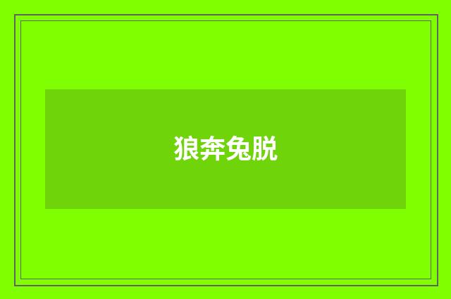 狼奔兔脱