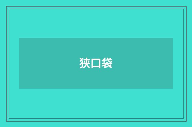 狭口袋