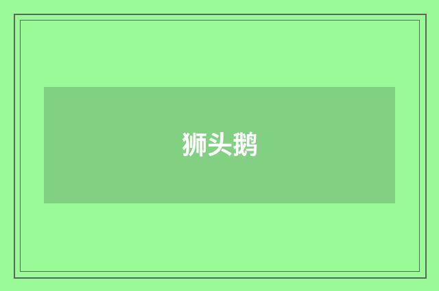 狮头鹅