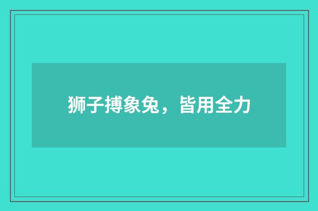 狮子搏象兔，皆用全力