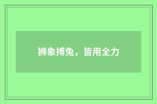 狮象搏兔，皆用全力