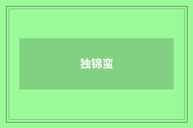 独锦蛮