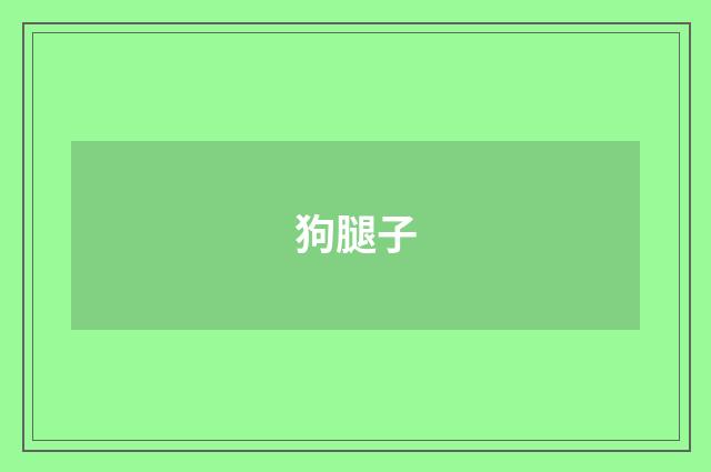 狗腿子