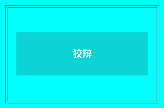 狡辩