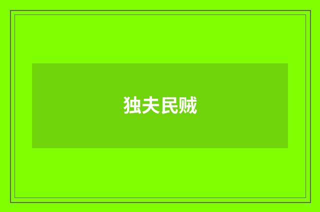 独夫民贼