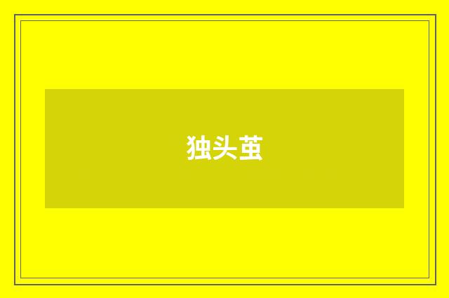 独头茧