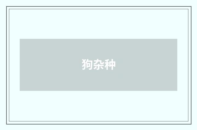 狗杂种