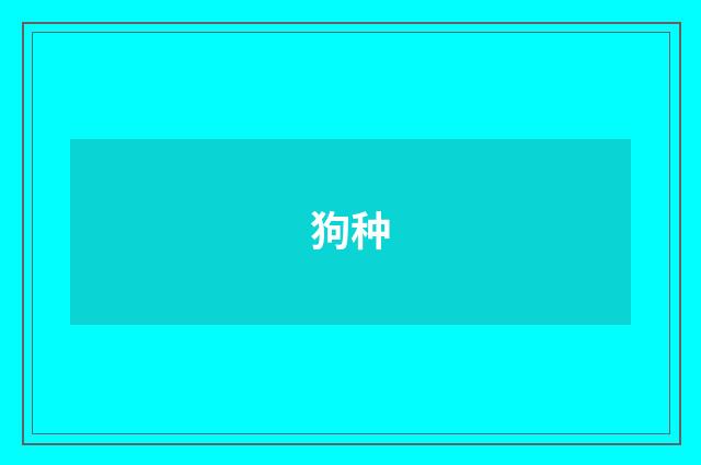 狗种