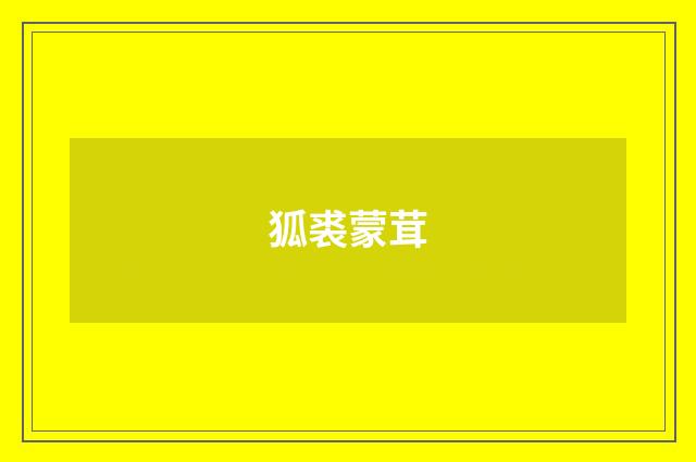 狐裘蒙茸
