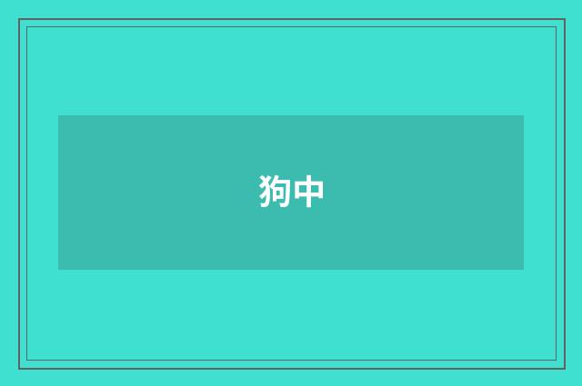 狗中