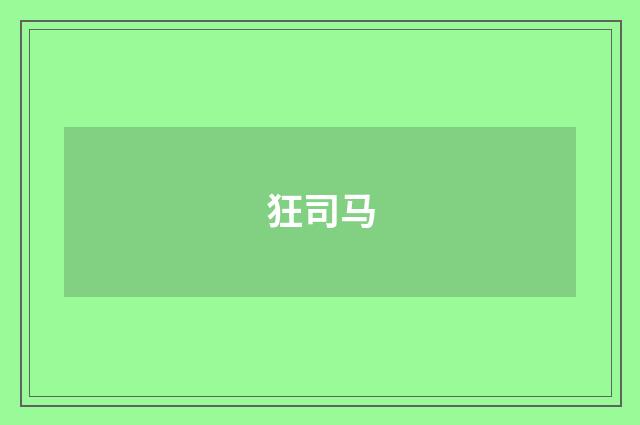 狂司马